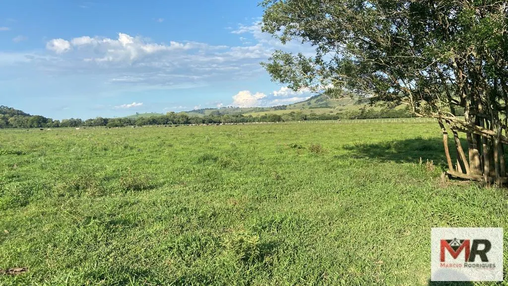 Fazenda à venda de 121 ha em Cambuí, MG, Brasil