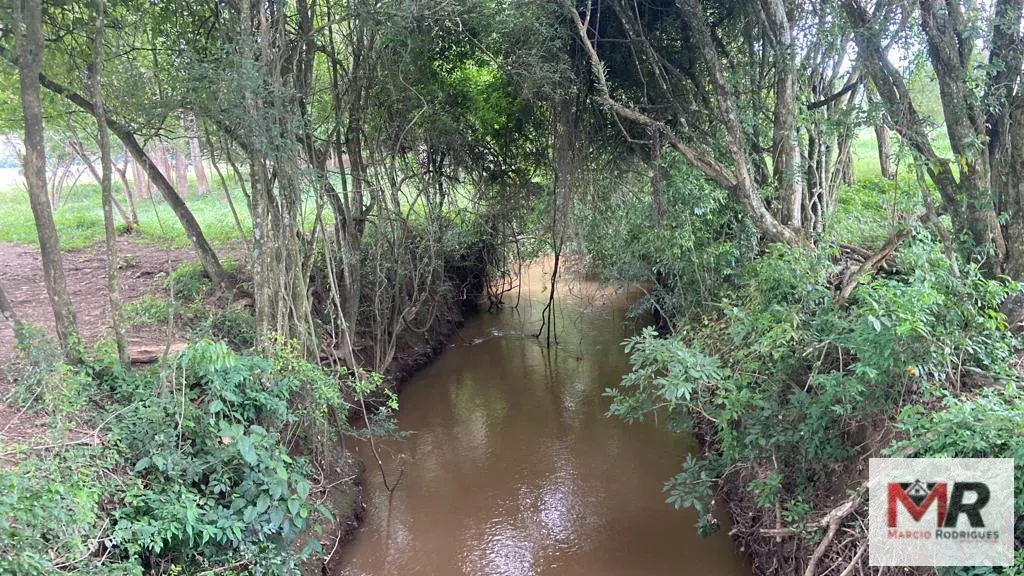 Fazenda à venda de 121 ha em Cambuí, MG, Brasil