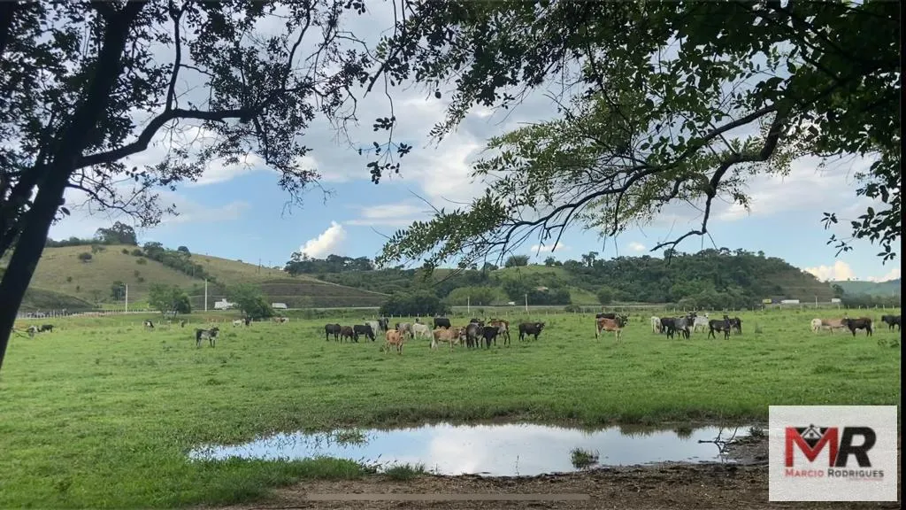 Fazenda à venda de 121 ha em Cambuí, MG, Brasil
