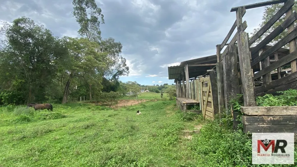 Fazenda à venda de 121 ha em Cambuí, MG, Brasil