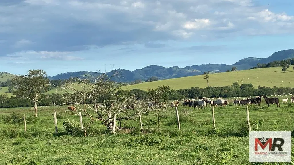 Fazenda à venda de 121 ha em Cambuí, MG, Brasil