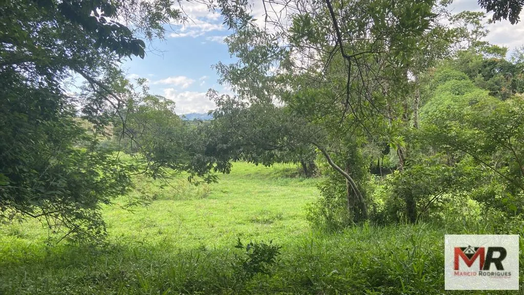 Fazenda à venda de 121 ha em Cambuí, MG, Brasil