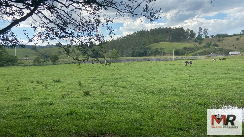 Fazenda à venda de 121 ha em Cambuí, MG, Brasil