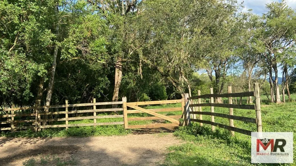 Fazenda à venda de 121 ha em Cambuí, MG, Brasil