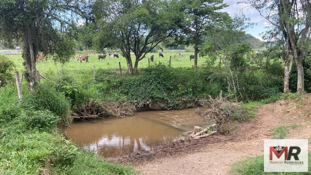 Fazenda à venda de 121 ha em Cambuí, MG, Brasil