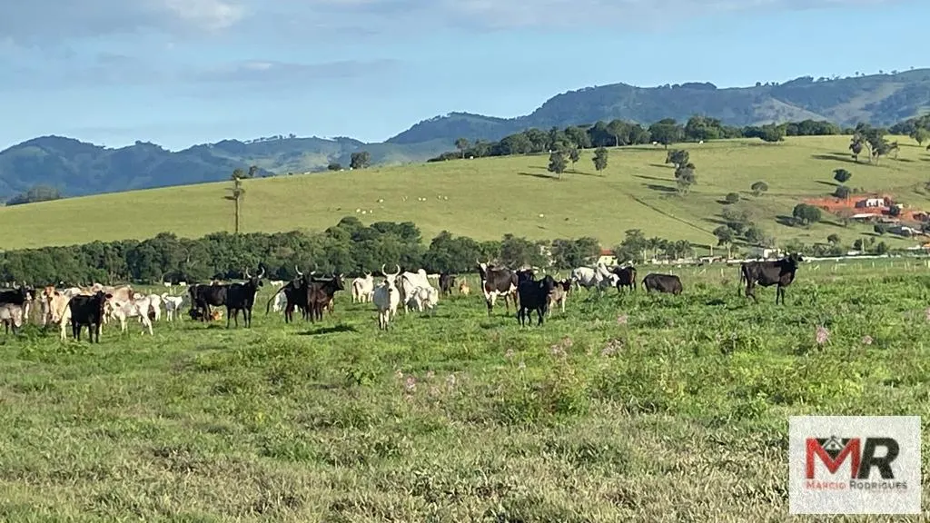 Fazenda à venda de 121 ha em Cambuí, MG, Brasil