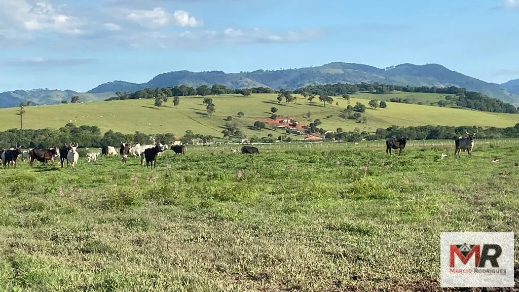 Fazenda à venda de 121 ha em Cambuí, MG, Brasil