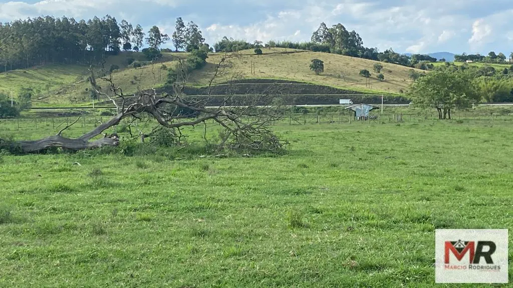 Fazenda à venda de 121 ha em Cambuí, MG, Brasil