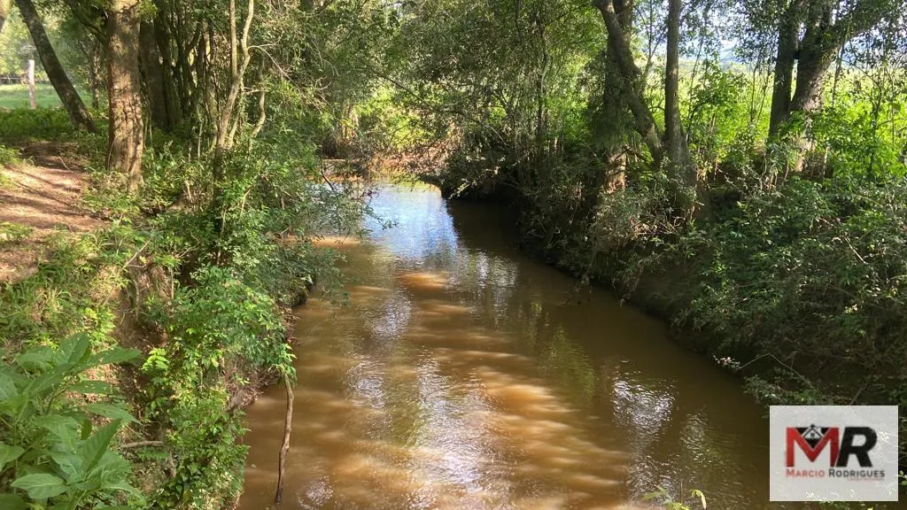 Fazenda à venda de 121 ha em Cambuí, MG, Brasil