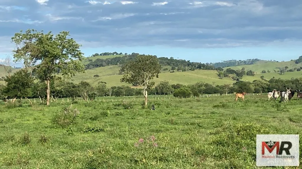 Fazenda à venda de 121 ha em Cambuí, MG, Brasil