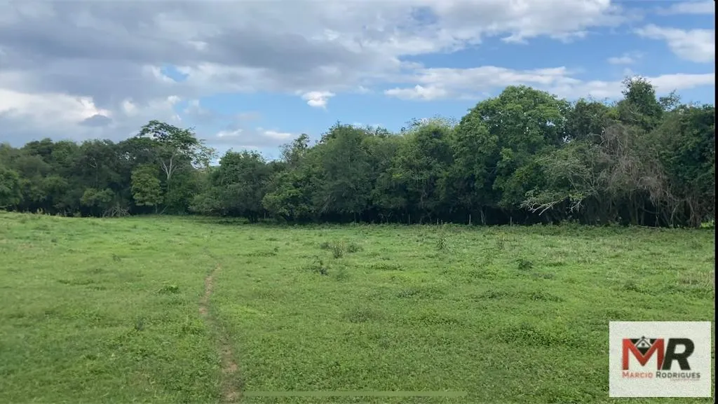 Fazenda à venda de 121 ha em Cambuí, MG, Brasil