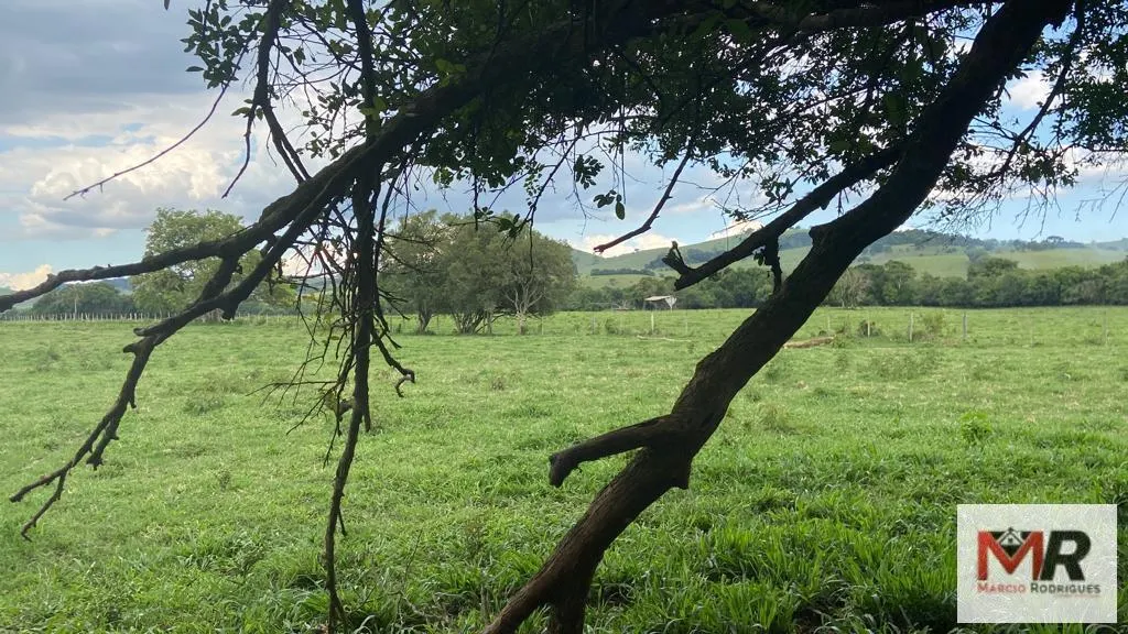 Fazenda à venda de 121 ha em Cambuí, MG, Brasil
