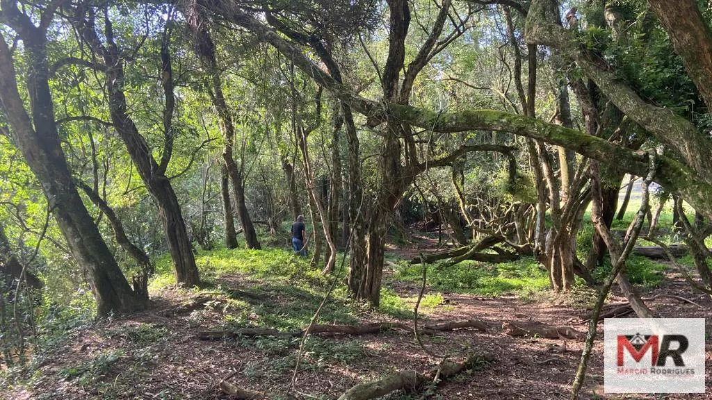 Fazenda à venda de 121 ha em Cambuí, MG, Brasil