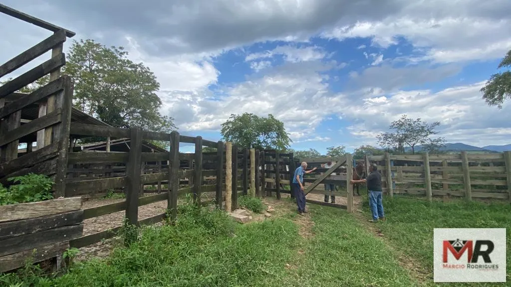 Fazenda à venda de 121 ha em Cambuí, MG, Brasil