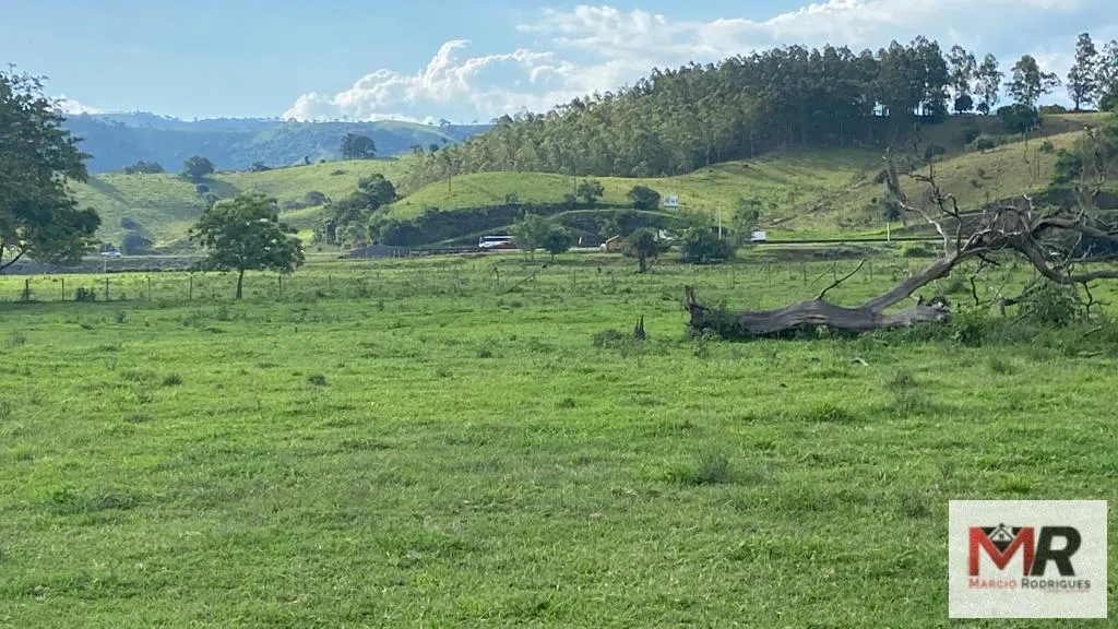 Fazenda à venda de 121 ha em Cambuí, MG, Brasil