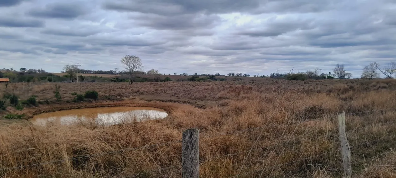 Fazenda à venda de 63 ha em Porangaba, SP, Brasil