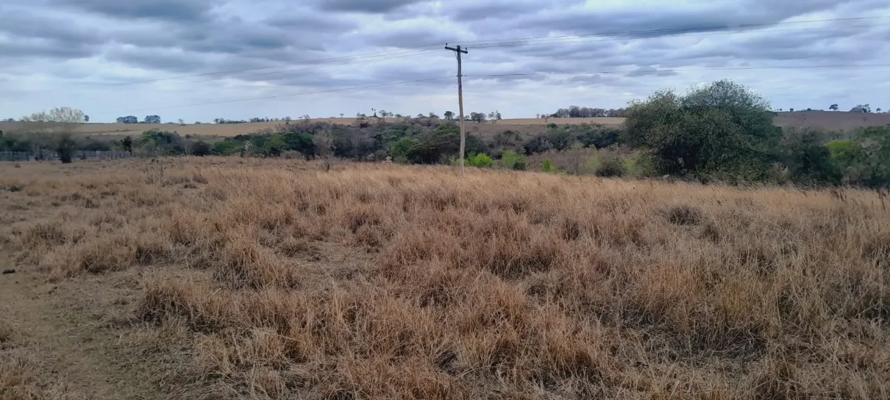 Fazenda à venda de 63 ha em Porangaba, SP, Brasil