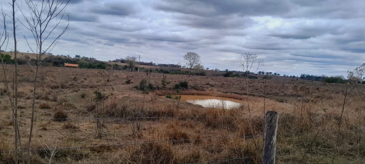 Fazenda à venda de 63 ha em Porangaba, SP, Brasil