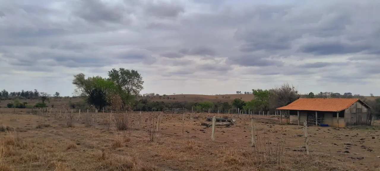 Fazenda à venda de 63 ha em Porangaba, SP, Brasil