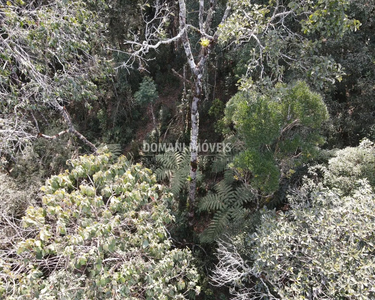 Terreno à venda de 7.780 m² em Campos do Jordão, SP, Brasil