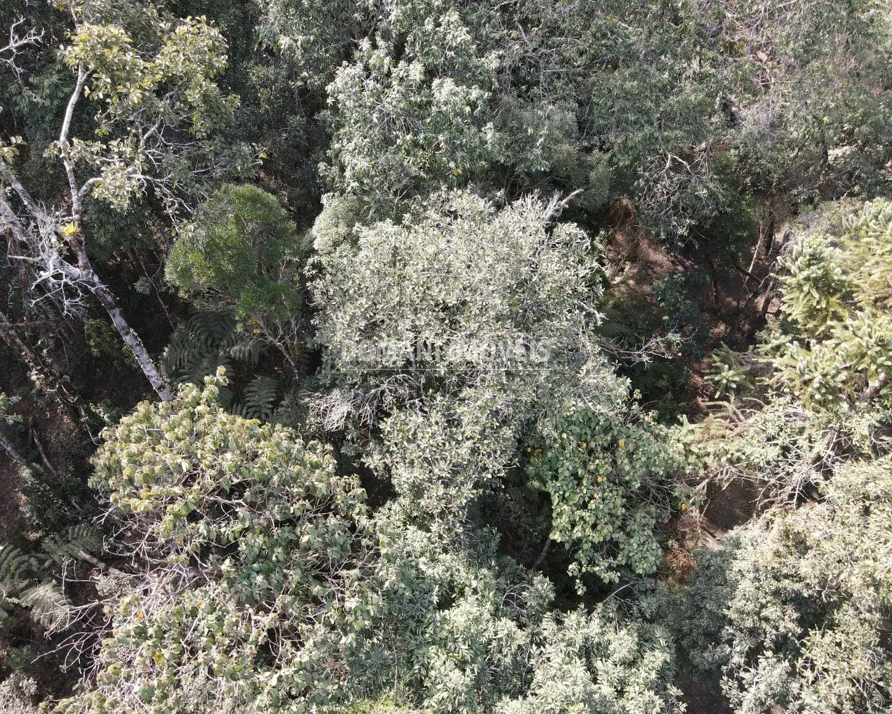 Terreno à venda de 7.780 m² em Campos do Jordão, SP, Brasil