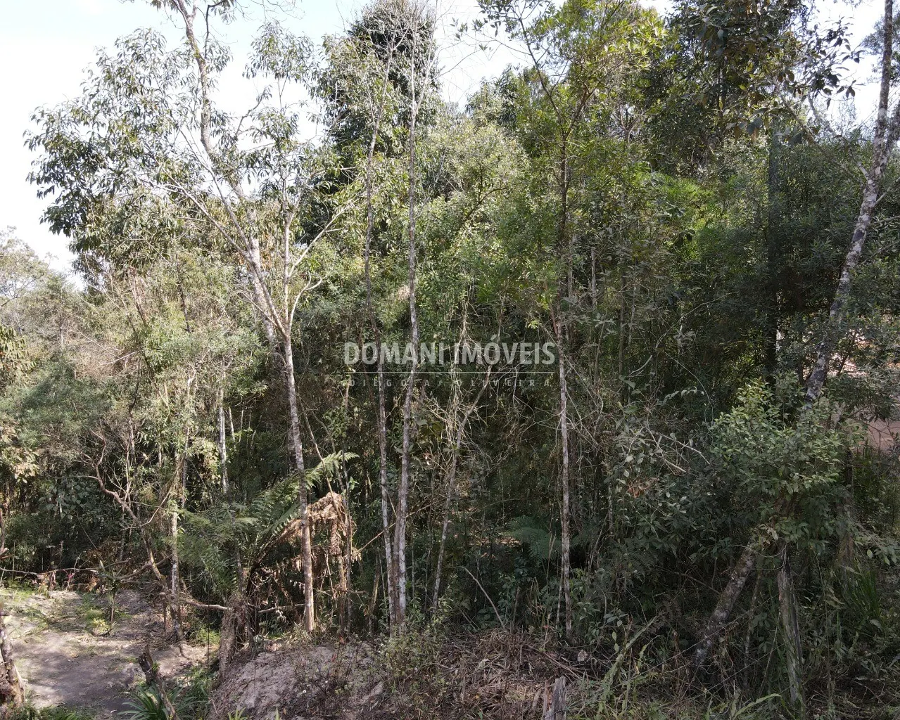 Terreno à venda de 7.780 m² em Campos do Jordão, SP, Brasil