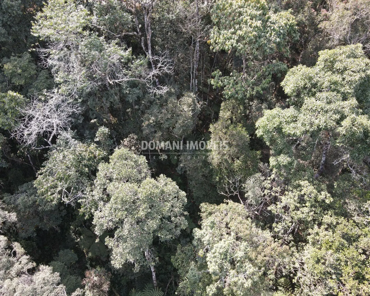 Terreno à venda de 7.780 m² em Campos do Jordão, SP, Brasil