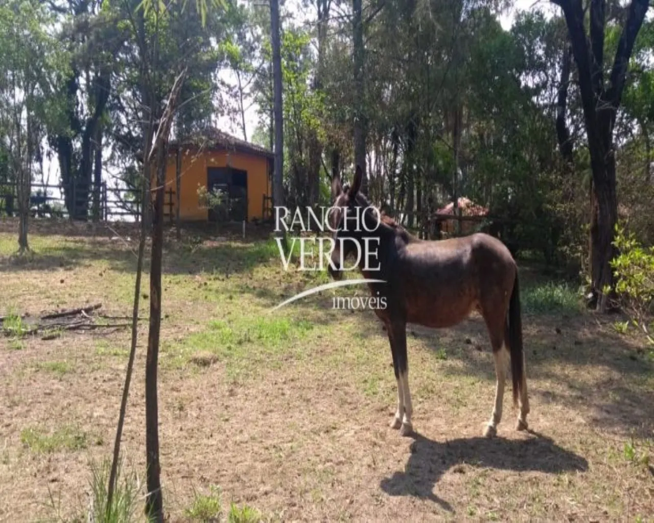 Chácara à venda de 5.000 m² em Caçapava, SP, Brasil