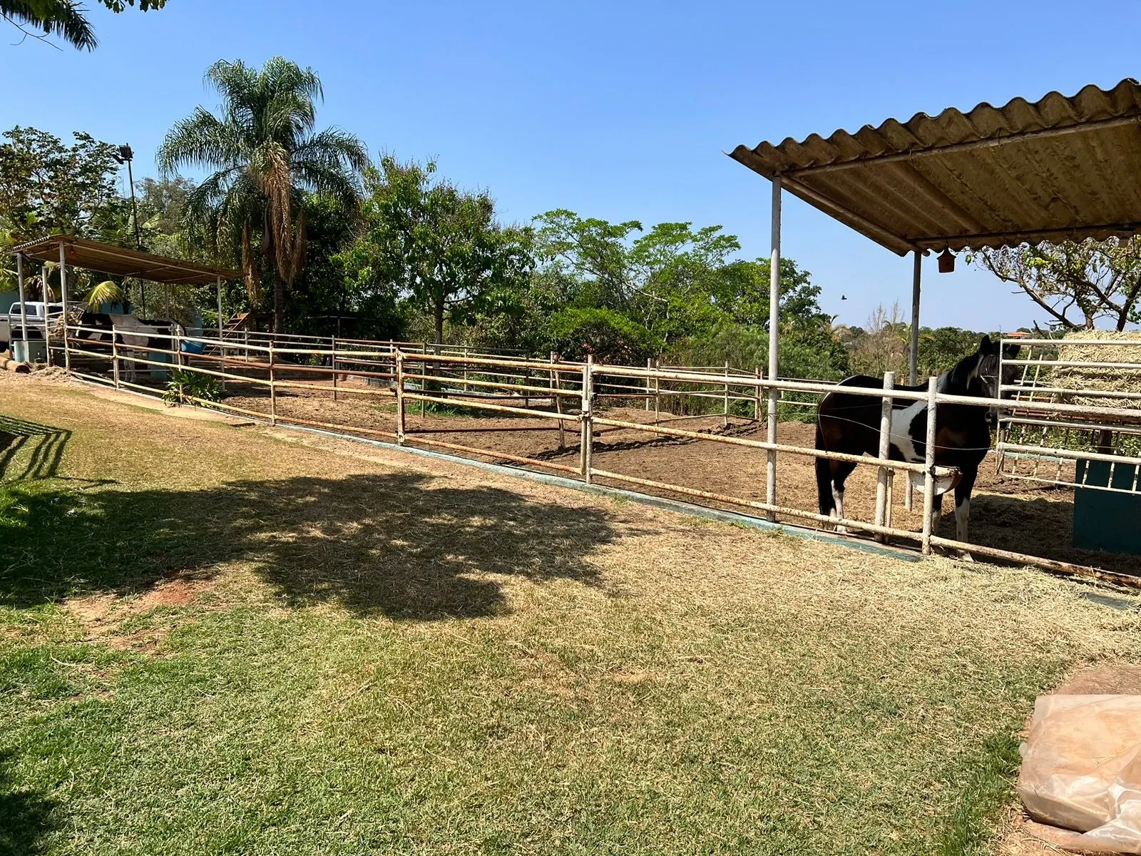 Chácara à venda de 5.000 m² em Limeira, SP, Brasil