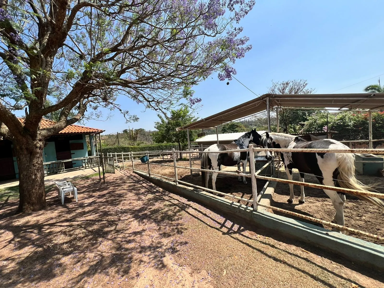 Chácara à venda de 5.000 m² em Limeira, SP, Brasil