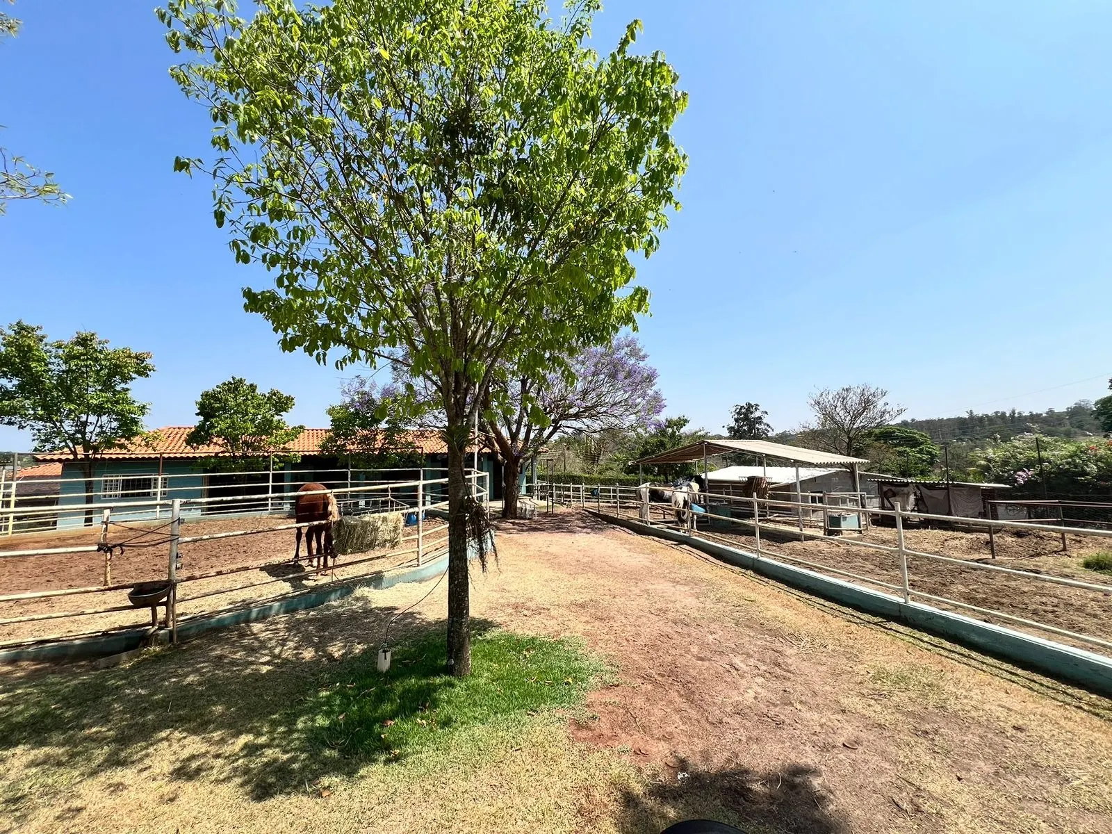 Chácara à venda de 5.000 m² em Limeira, SP, Brasil