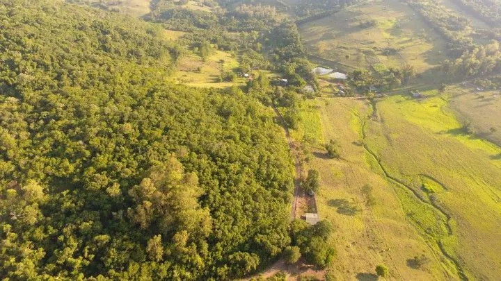 Chácara à venda de 2 ha em Santo Antônio da Patrulha, RS, Brasil