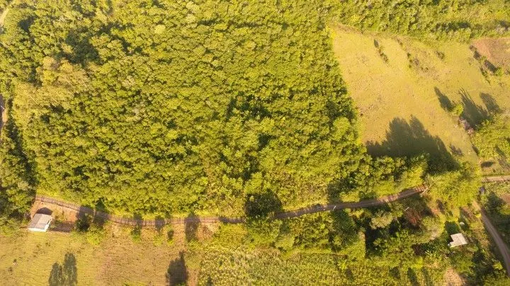 Chácara à venda de 2 ha em Santo Antônio da Patrulha, RS, Brasil