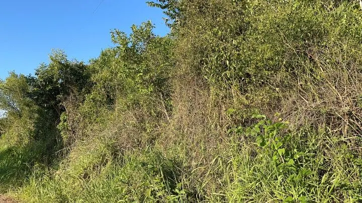 Chácara à venda de 2 ha em Santo Antônio da Patrulha, RS, Brasil