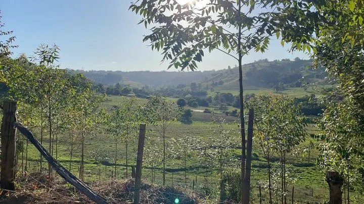 Chácara à venda de 2 ha em Santo Antônio da Patrulha, RS, Brasil