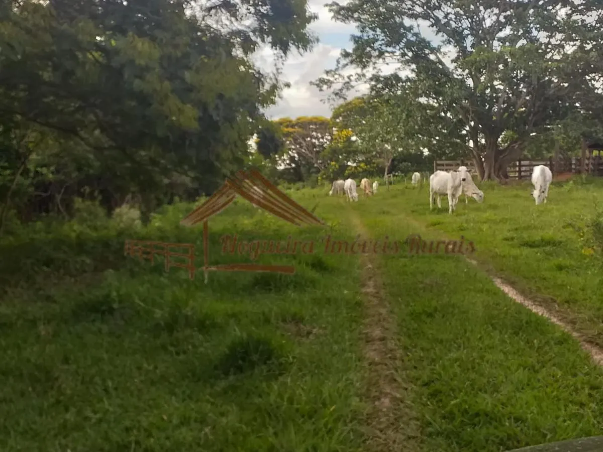 Fazenda à venda de 179 ha em Garça, SP, Brasil