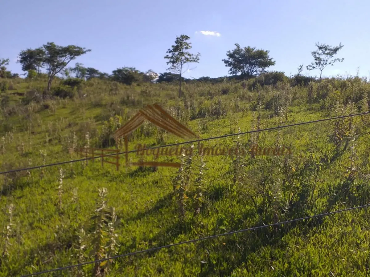Fazenda à venda de 179 ha em Garça, SP, Brasil
