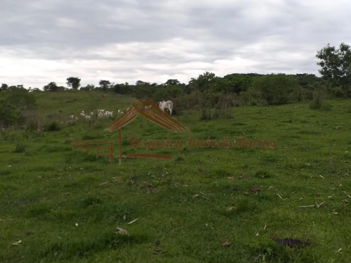 Fazenda à venda de 179 ha em Garça, SP, Brasil
