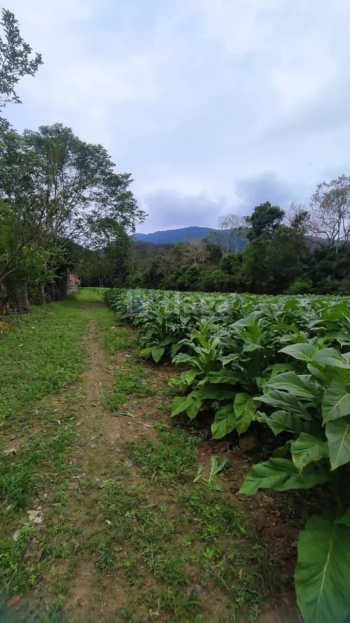 Fazenda à venda de 3 ha em São João Batista, SC, Brasil