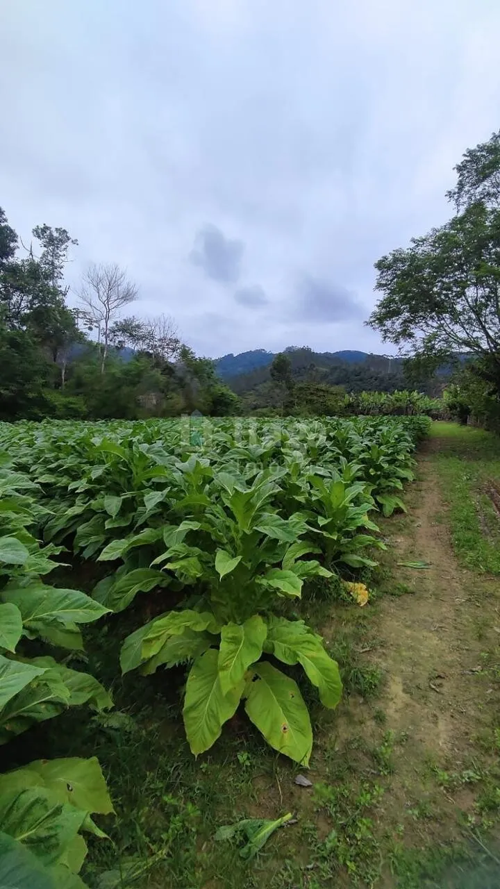 Fazenda à venda de 3 ha em São João Batista, SC, Brasil