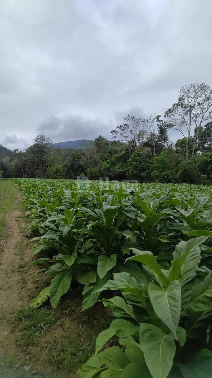 Fazenda à venda de 3 ha em São João Batista, SC, Brasil