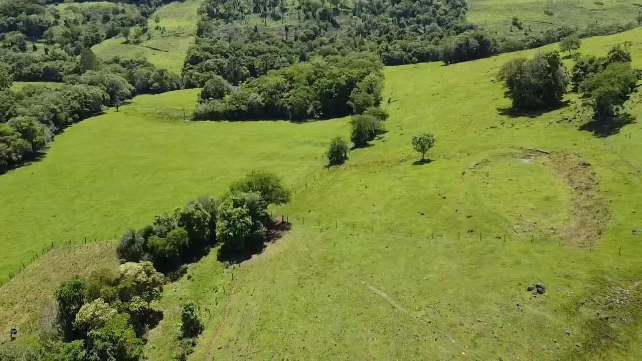 Fazenda à venda de 235 ha em Ampére, PR, Brasil