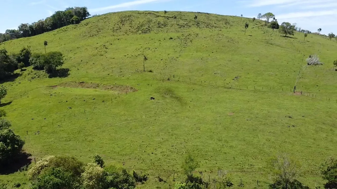 Fazenda à venda de 235 ha em Ampére, PR, Brasil