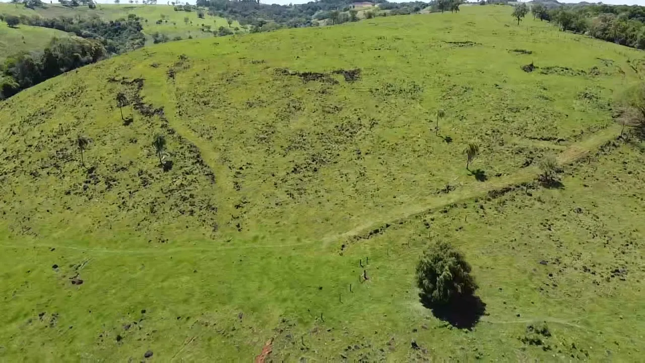Fazenda à venda de 235 ha em Ampére, PR, Brasil