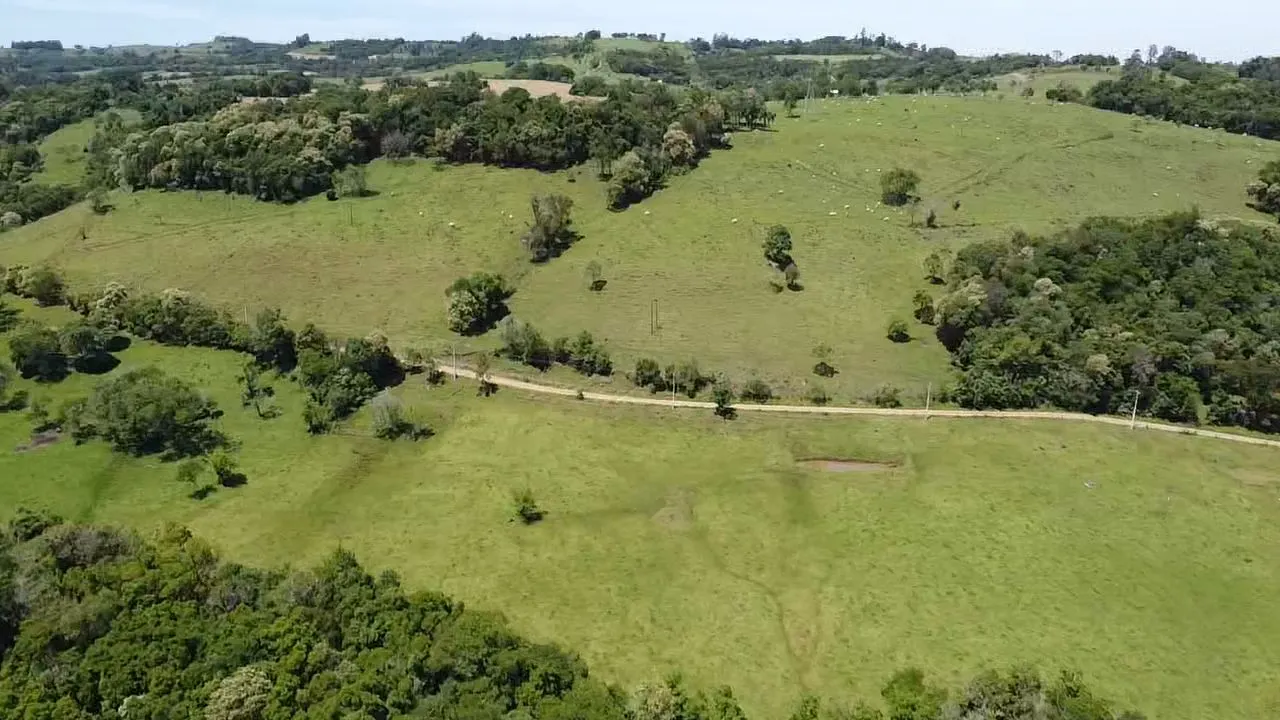 Fazenda à venda de 235 ha em Ampére, PR, Brasil