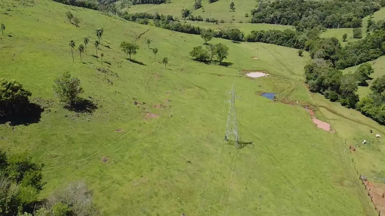 Fazenda à venda de 235 ha em Ampére, PR, Brasil