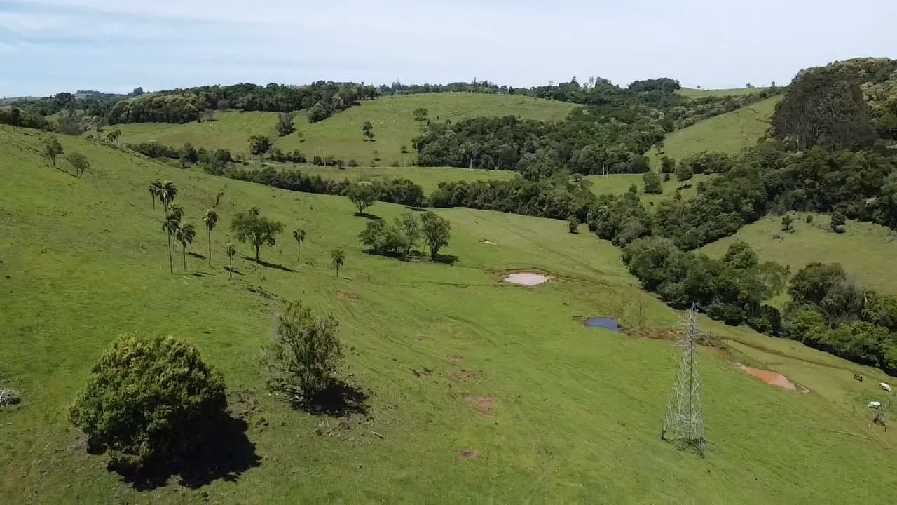 Fazenda à venda de 235 ha em Ampére, PR, Brasil