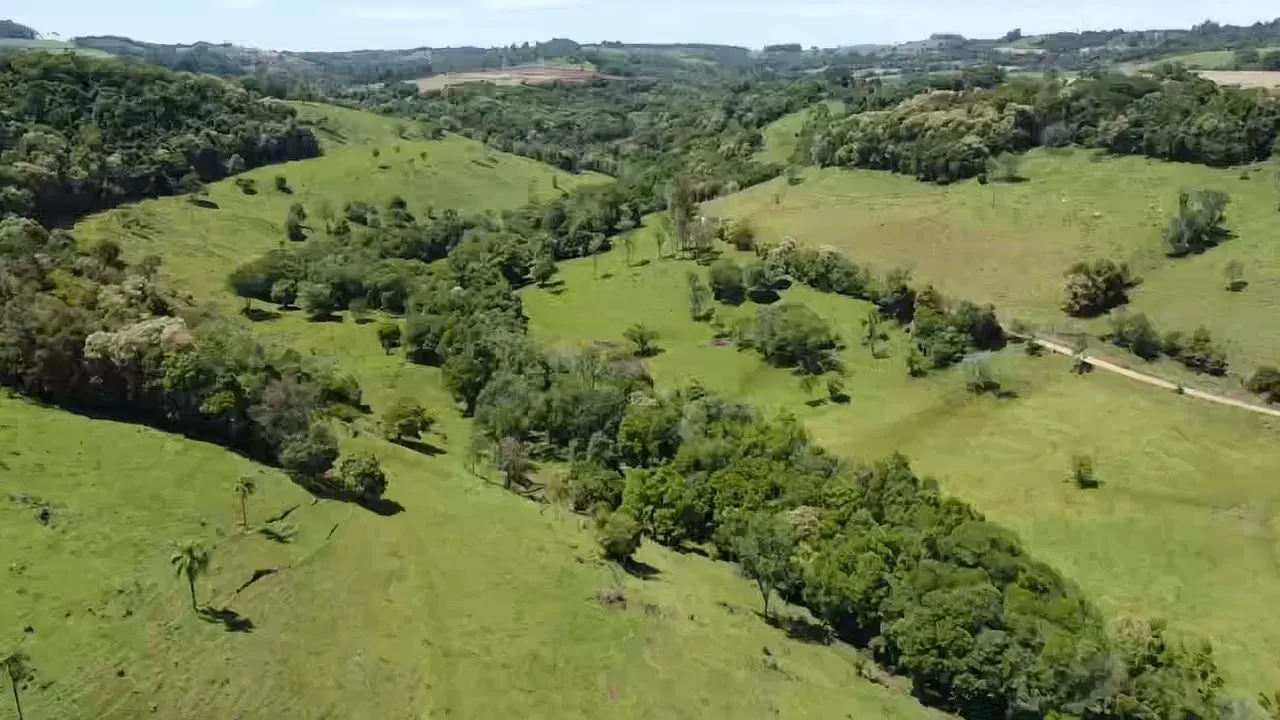 Fazenda à venda de 235 ha em Ampére, PR, Brasil