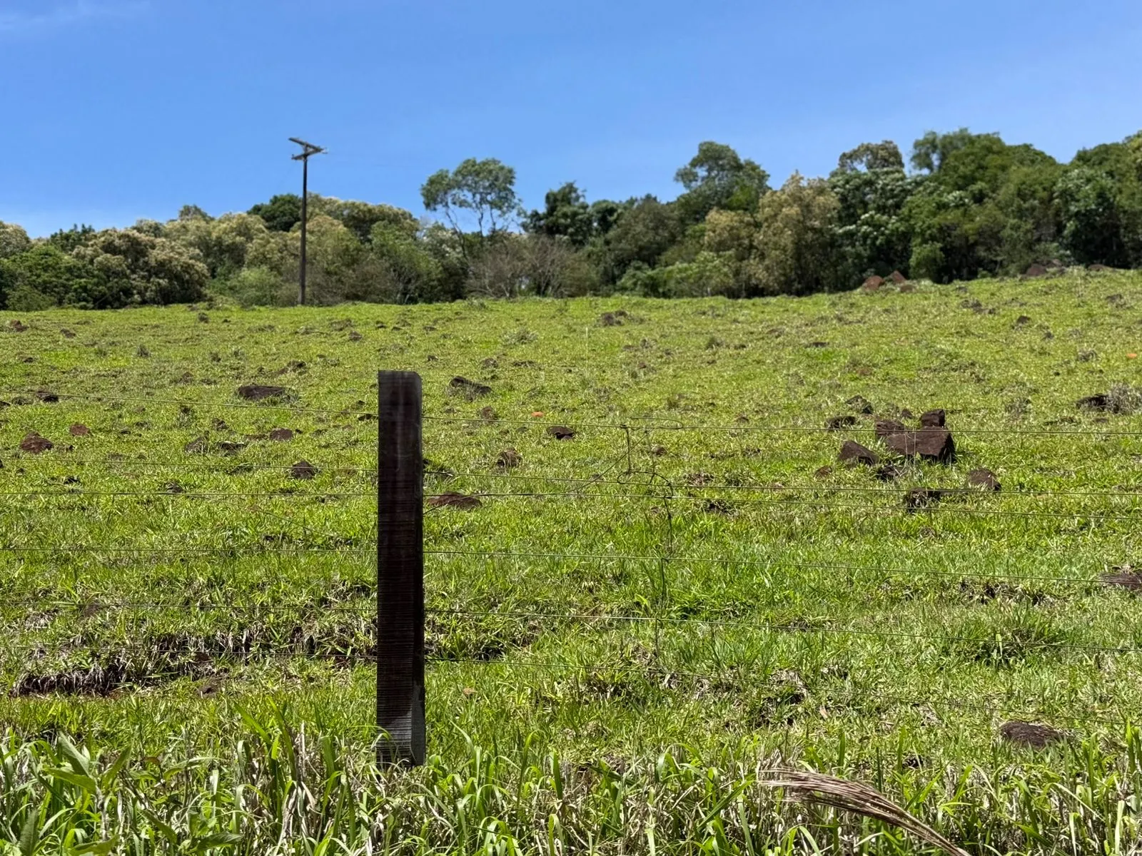 Fazenda à venda de 235 ha em Ampére, PR, Brasil