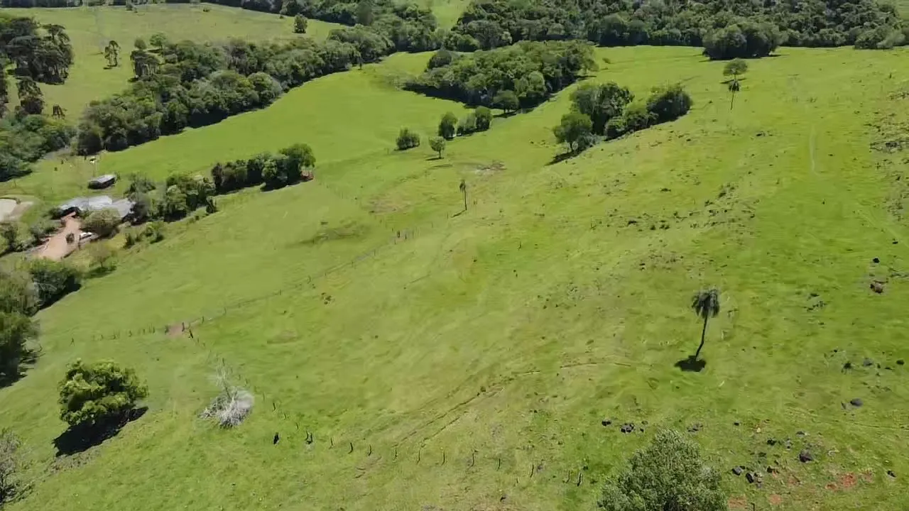 Fazenda à venda de 235 ha em Ampére, PR, Brasil